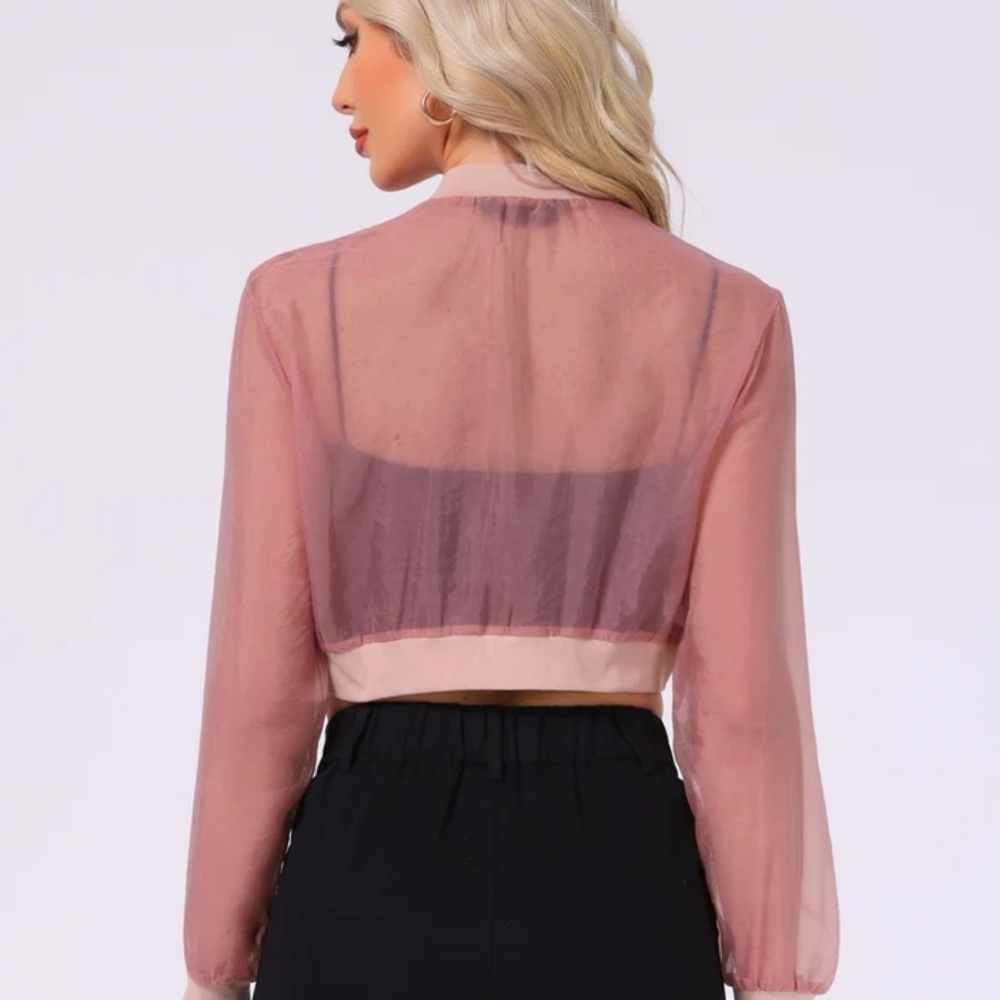 Allegra K Sheer Pink Blouse